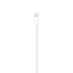 APPLE Câble USB vers Lightning 1m | Charge & Sync iPhone, iPad | APOMobile